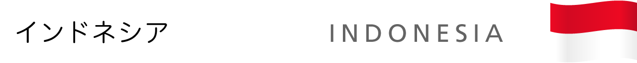 インドネシア